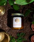 SUN & SOIL